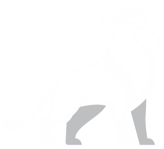 لوگو اصلی